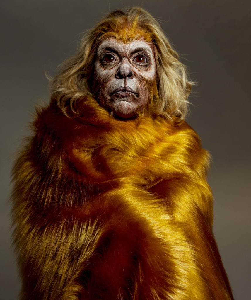 Astrid Fontenelle como mico-leão-dourado (Fotos: Jacques Dequeker/Divulgação)