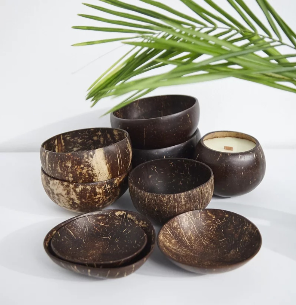 Produtos feitos com casca de coco (Foto: Divulgação)